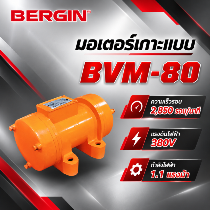 มอเตอร์เกาะแบบ BVM-80-380V